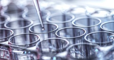 İlaç araştırması, numuneyi çok katmanlı bir kuyuya yerleştirmek.