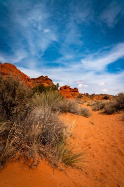 Arizona 'daki Vermillion Kayalıklarında Çöl Patikası