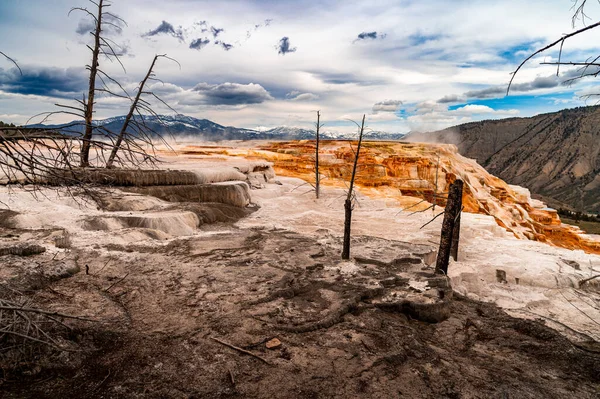 Sources Thermales Mammoth Parc National Yellowstone — Photo