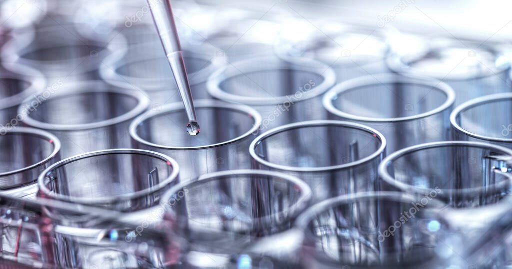 Pharmaceutical Research, Pipetting sample into a multi well plate