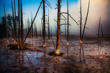 Yellowstone 'un kaplıcaları ve sülfür akıntıları