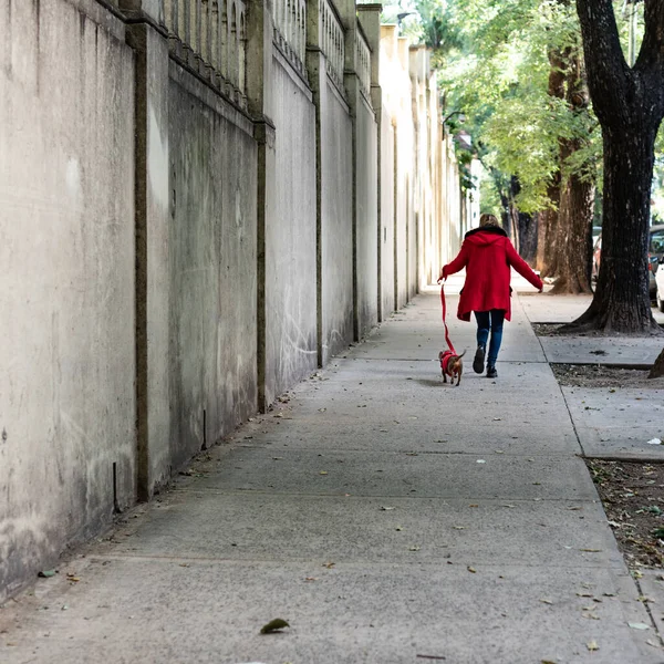 ラテン語の女性が犬の散歩 両方の赤い服を着て — ストック写真