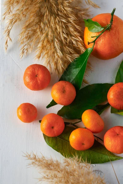 Sinaasappelcitrusvruchten Witte Tafel Met Groene Bladeren — Stockfoto