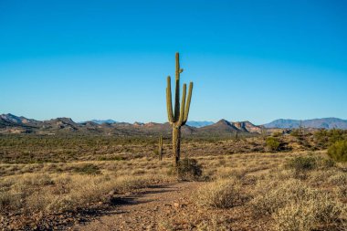 Koruma parkının yürüyüş izinden destansı dağ manzarası