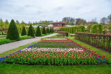 Lisse, Hollanda Hollanda çiçek açan laleler Keukenhof Park,