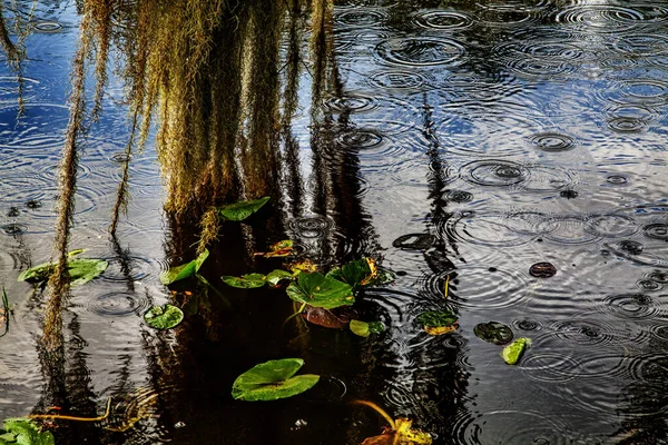 Chuva Cai Canal — Fotografia de Stock