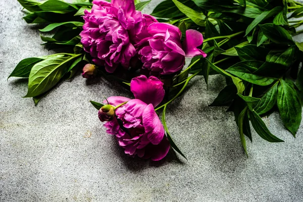 Marco Con Flores Peonía Sobre Fondo Hormigón —  Fotos de Stock