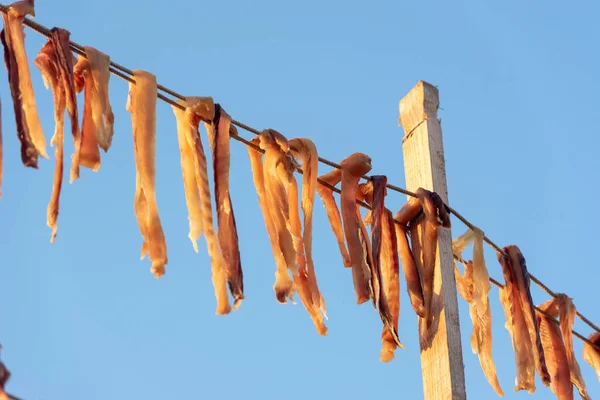 Typical Salty Dried Fish Peix Sec Balearic Islands Mediterranean Calo — Stock Photo, Image