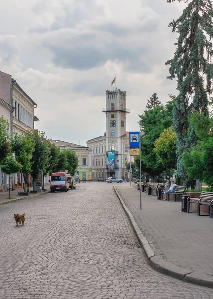 Kolomia Ukraina 2021 Gator Den Gamla Staden Kolomia Ukraina Molnig — Stockfoto