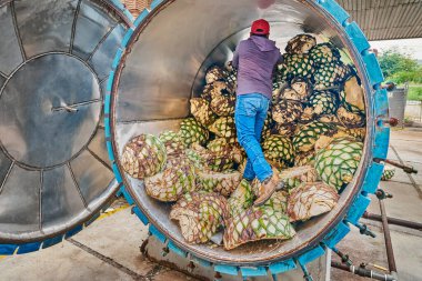 Adam fırında karides yığıyor. Buharda pişirmeye hazır.