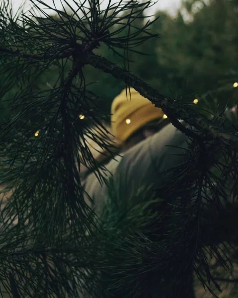 Sarı Şapkalı Bir Kız Noel Ağacına Fener Asıyor — Stok fotoğraf
