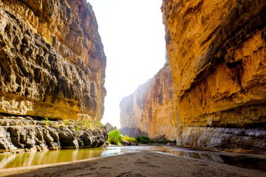 Santa Elena Kanyonu Big Bend Ulusal Parkı