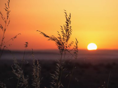 Sunrise on Lachish hill in Israel