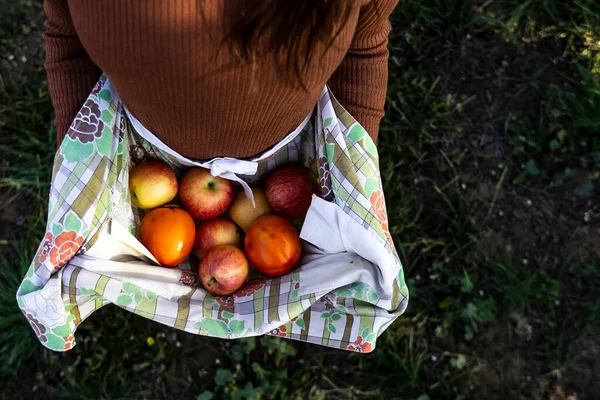 Apples Fall Season Countryside — Foto Stock