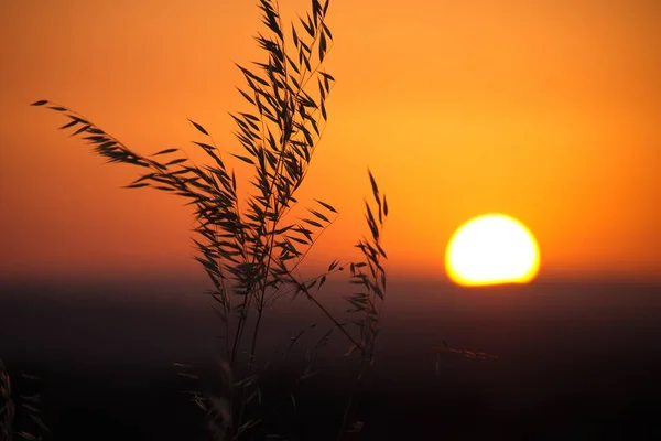 Sunrise Lachish Hill Israel —  Fotos de Stock