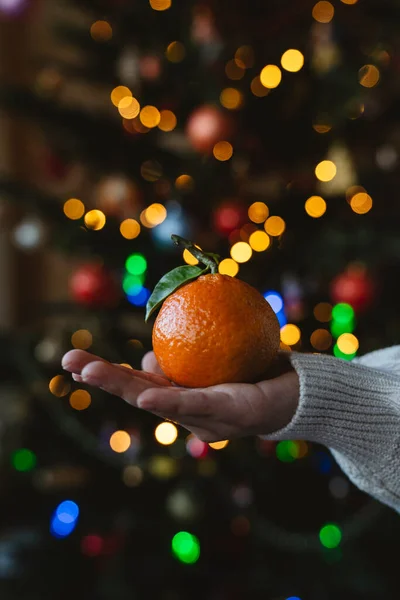 Child Holds Tangerine Front Christmas Tree Home — Foto de Stock