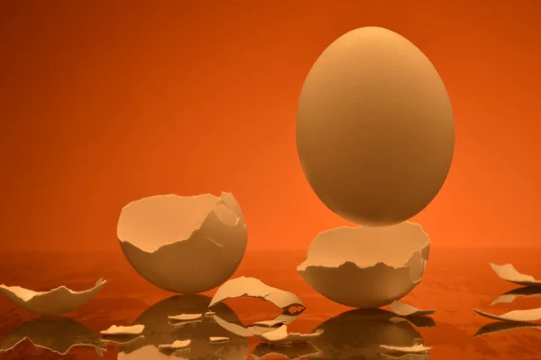 Egg Levitating Broken Shells — Stock Photo, Image