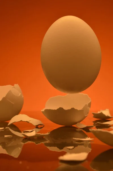 Egg Levitating Broken Shells — Stock fotografie