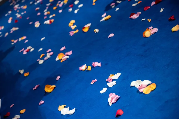 Цветные Лепестки Разбросаны Голубому Ковру — стоковое фото