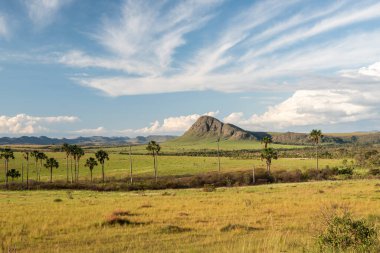Chapada dos Veadeiros, Gois State, Orta Brezilya 'da dağları, tarlaları ve ağaçları olan tipik cerrado manzarasına güzel bir manzara 