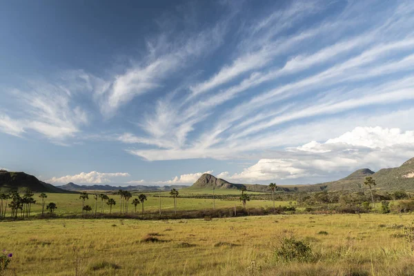 Belle Vue Sur Paysage Typique Cerrado Avec Des Montagnes Des — Photo