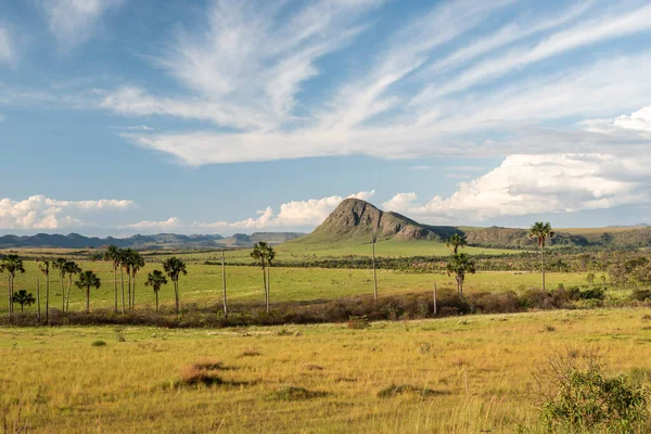 Belle Vue Sur Paysage Typique Cerrado Avec Des Montagnes Des — Photo