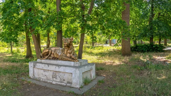 Odessa Ucrania 2022 Antiguo Parque Sanatorio Chkalov Odessa Ucrania Día — Foto de Stock