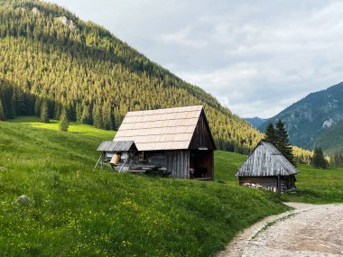 Polonya 'daki Tatras dağlarındaki dağ vadisindeki Shepherd' ın kulübesi.