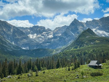 Beautiful lanscape of mountain valley with shepherd's hut in summer