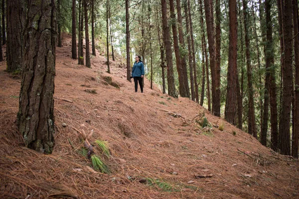 Woman Walking Bogota Mountain Path Forest — Stock Photo, Image