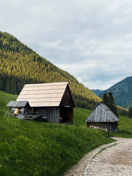 Herdershut Het Dal Van Tatra Polen — Stockfoto