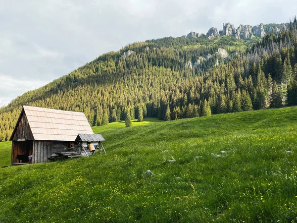 Polonya Daki Tatras Dağlarındaki Dağ Vadisindeki Shepherd Kulübesi — Stok fotoğraf