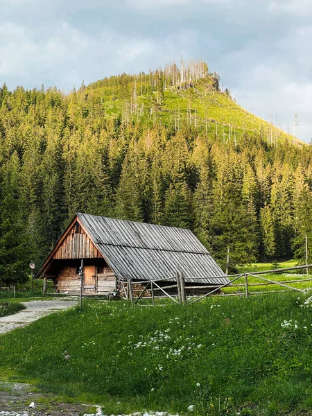 Shepherd Hut Mountain Valley Tatras Mountains Poland — Stock Fotó