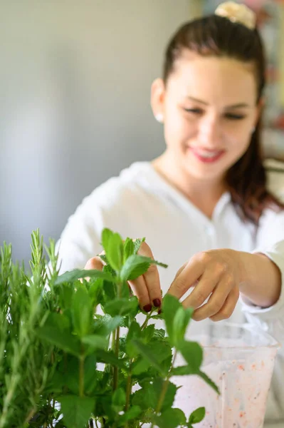 Young Woman Hand Cutting Fresh Peppermint Kitchen — Stock Photo, Image