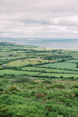 İrlanda, Dingle 'daki yemyeşil manzaranın manzarası