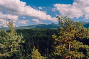 Dev Dağların doğal bahar manzarası - Karkonosze Mounatains, Polonya