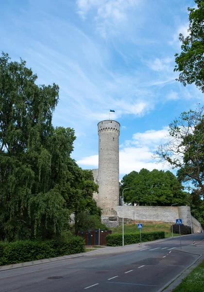 Ancient Tower Fortress Wall Tallinn — Foto Stock