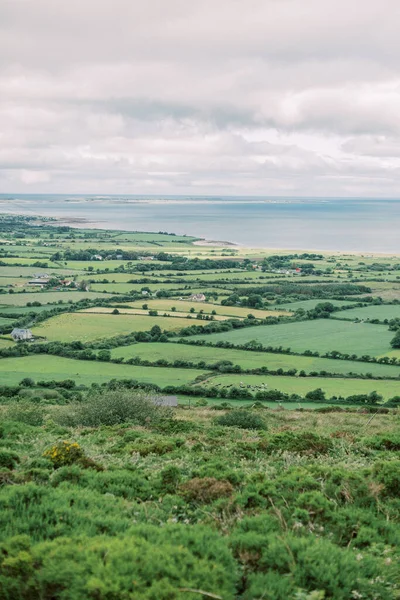 Landschappelijk Uitzicht Weelderig Groen Landschap Dingle Ierland — Stockfoto