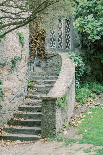 Stone Stairway Malahide Castle Malahide Ireland — Foto de Stock