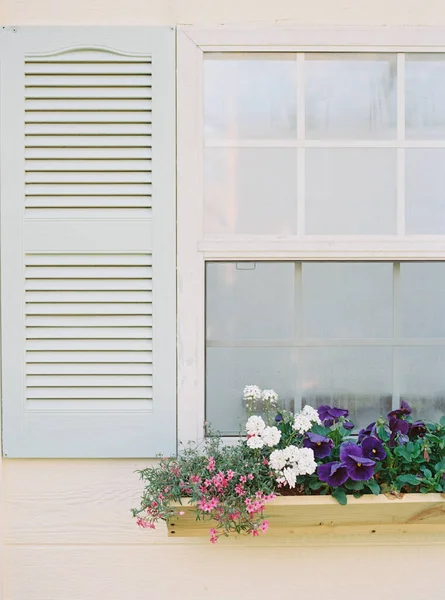 Light Blue Shutter Shed Planter Box Colorful Flowers — 图库照片