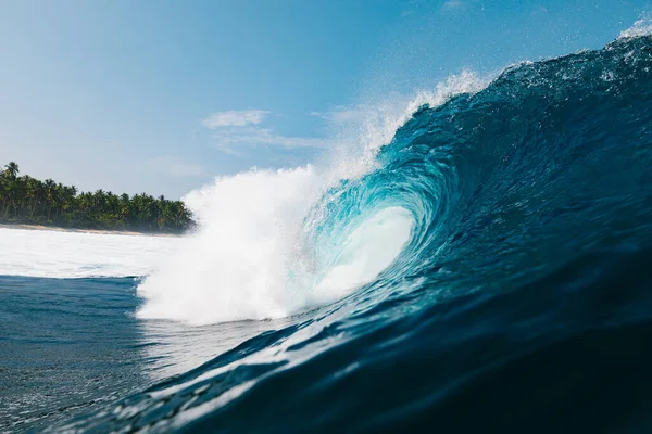 Powerful Wave Breaking Beach Palm Trees — Fotografia de Stock