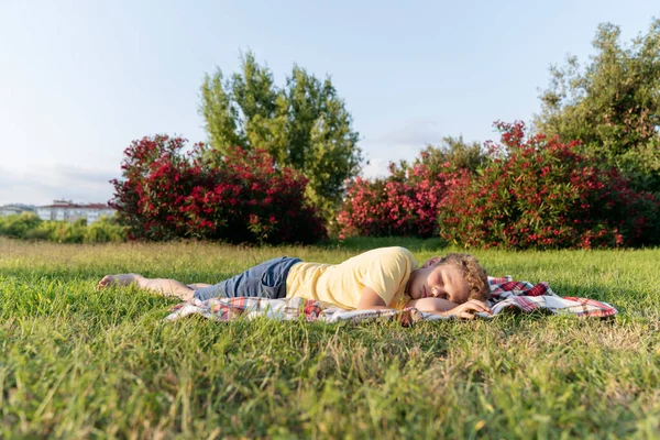 Хлопчик Спить Пікніку Парку Траві — стокове фото
