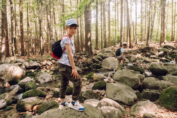 Маленький Хлопчик Залишається Лісі Вивчення Природи Дітей Ідеї Осінньої Активності — стокове фото