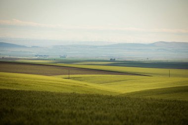 Washington Farmland Vast Landscape Sunny Sky