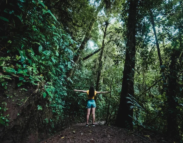 Woman Walking Middle Jungle — Zdjęcie stockowe