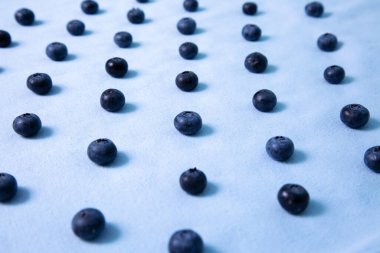 Blueberries lie in a row on a blue background