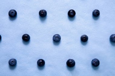 Pattern of parallel rows of blueberries on a purple background