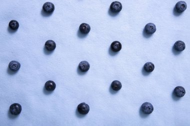 Pattern of parallel rows of blueberries on a purple background