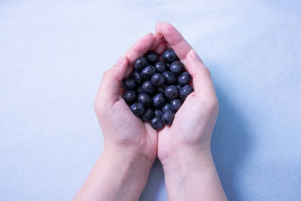 Handful Blueberries Female Hands Purple Background — Stock Photo, Image