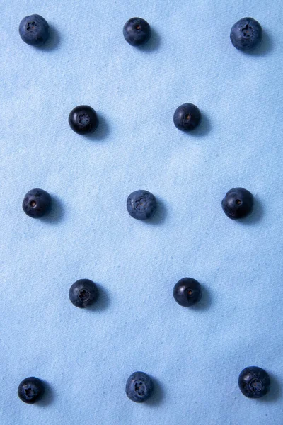 Vertical Photo Pattern Parallel Rows Blueberries — Stock Photo, Image